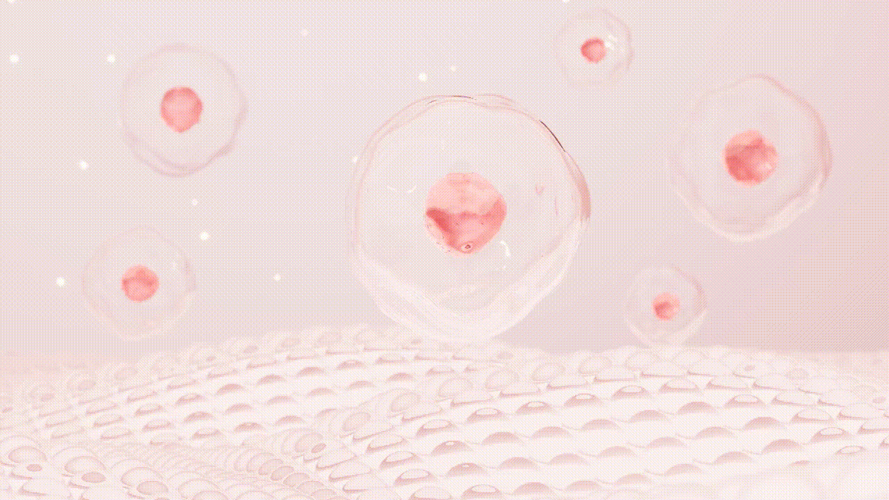 https://augustbnb.com/files/skin-cells-3d_967e4a61.gif